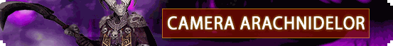 Camera Arachnidelor